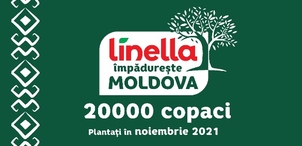 Linella împădurește Moldova cu 20 000 de copaci