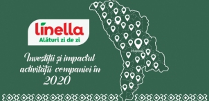 Linella, инвестиции и результаты деятельности компании в 2020