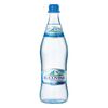Apa minerala carbogazificata st.750ml BUCOVINA