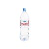 Apa minerala plata 1l pet EVIAN
