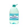 Apa plata de izvor 5l BUCOVINA
