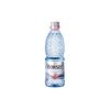 Apa minerala plata 0.5l pet BORSEC