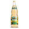 Bautura carbogazata ДЮШЕС 1l ЧЕРНОГОЛОВКА