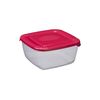 Container Polar 2,5l PLAST TEAM
