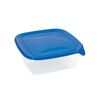 Boxa patrata 1.7l FRESH&GO