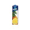 Nectar de Ananas 1l SANTAL