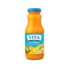 MINI Suc Multifruct 250ml VITA