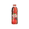 ICE TEA Bautura Forest Fruit 0.5l JANA