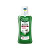 Apa de gura Forte 400ml ЛЕСНОЙ БАЛЬЗАМ