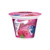 Cremă de brânză MIC VIS zmeură 5%, 150g JLC