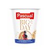 Iaurt BIG DAY Fructe Padure, Cereale 125g PASCUAL