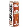 Ice Coffe EISCAPPUCINO 250 ml HOCHWALD