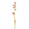 Ramura Fructe rosii 49cm CASA MASA