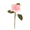 Magnolia 70cm Roz-deschis CASA MASA