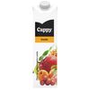 Bautura cu suc de fructe Exotic 1l CAPPY