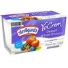 STERILGARDA YoCream fructe de padure 2*100g