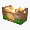 JUICE CREAM Inghetata lamaie 2*100g