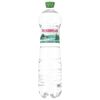 ТРУСКАВЕЦКАЯ Apa minerala slab carbo. 1.5l pet