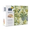 ORE LIETE Panettone cu ciocolata alba si lamie 750g