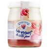 STERZING Iaurt Organic f/l Zmeura 150g st.
