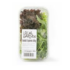 Local Garden, Salata mix 5 plante 100g
