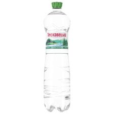 ТРУСКАВЕЦКАЯ Apa minerala slab carbo. 1.5l pet