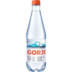 Apa minerala lecuitoare PET 1l GORJI