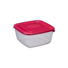 Container Polar 2,5l PLAST TEAM