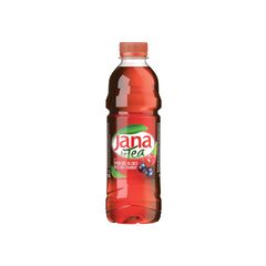 ICE TEA Bautura Forest Fruit 0.5l JANA