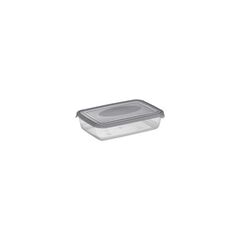Container Polar 0,45l. PLAST TEAM