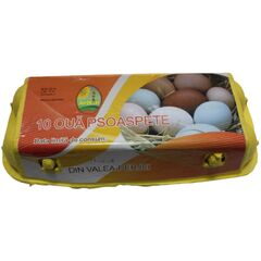 Oua de Masa M 10buc AVITON AGRO