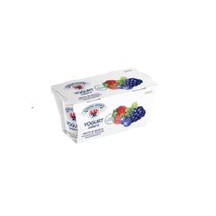 STERZING Iaurt integral cu Fructe de padure 2x125g