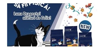 Regulamentul campaniei FELIX