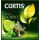 Чай Fresh Mojito 20*1.7г CURTIS