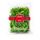 SALATA RUCOLA, 100g