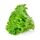 Salata Verde 200 g