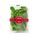 SALATA SPANAC, 100g