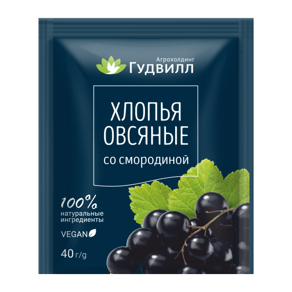 Fulgi de ovaz instanti cu coacaza 40g GOODWILL