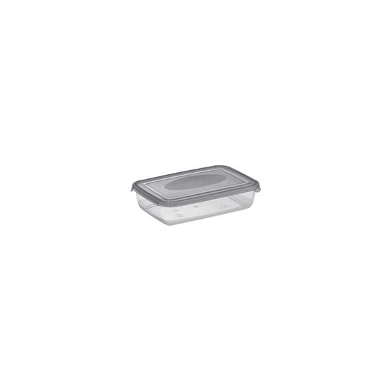 Container Polar 0,45l. PLAST TEAM