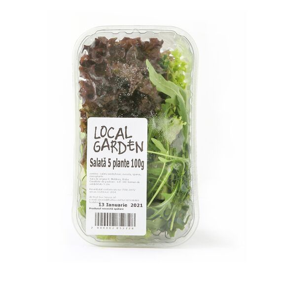 Local Garden, Салатный микс 5 растений, салат зеленый 100г