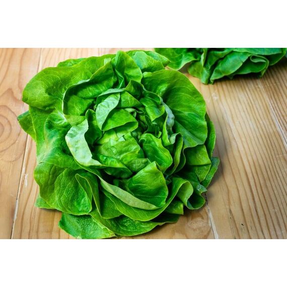 Salata Verde Butterhead, 190g 