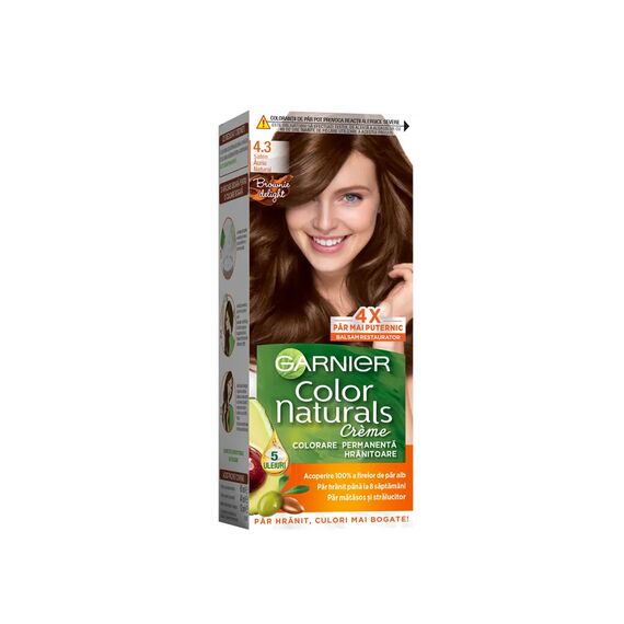 GARNIER Vopsea par №4.3 Saten Auriu