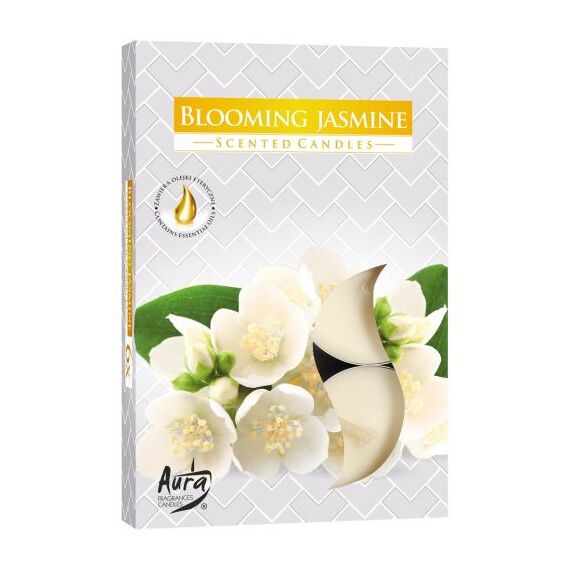 OSMA Lumanari parfumate, aroma de iasomie 6buc