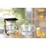 Storcator suc Plastic 40W Alb/Verde SOKANY