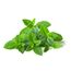 MENTA 50g