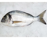 OCEAN FISH Dorada Regala congelata, kg