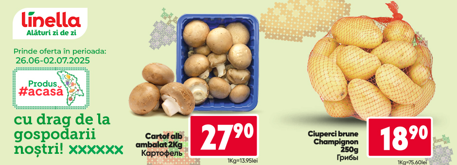 Mega Offer!