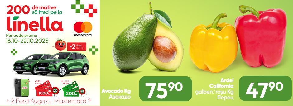 Mega Offer!