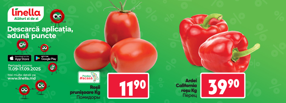 Mega Offer!