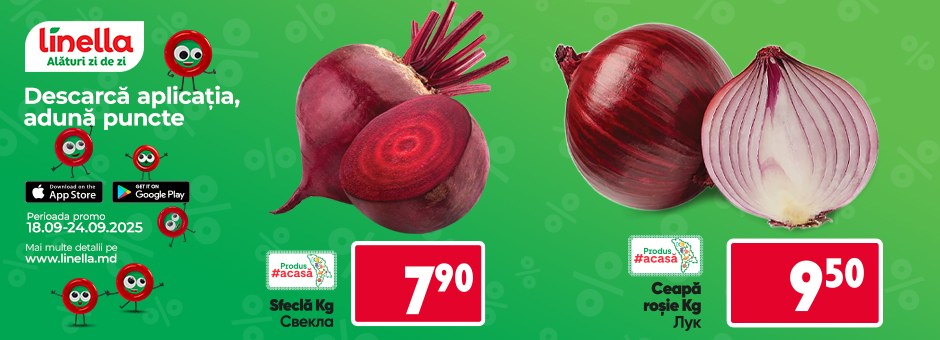 Mega Offer!